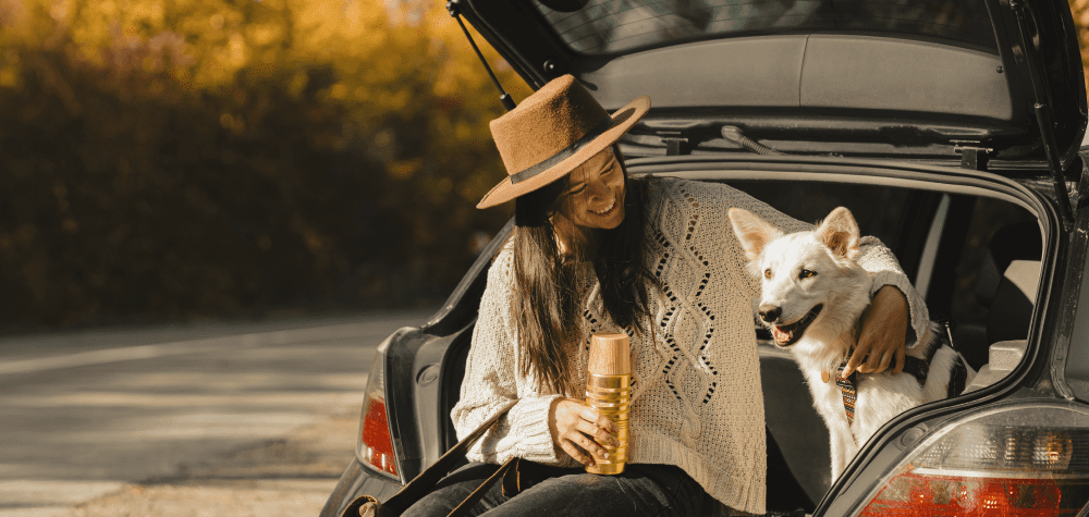 Mobile Hero Promotion